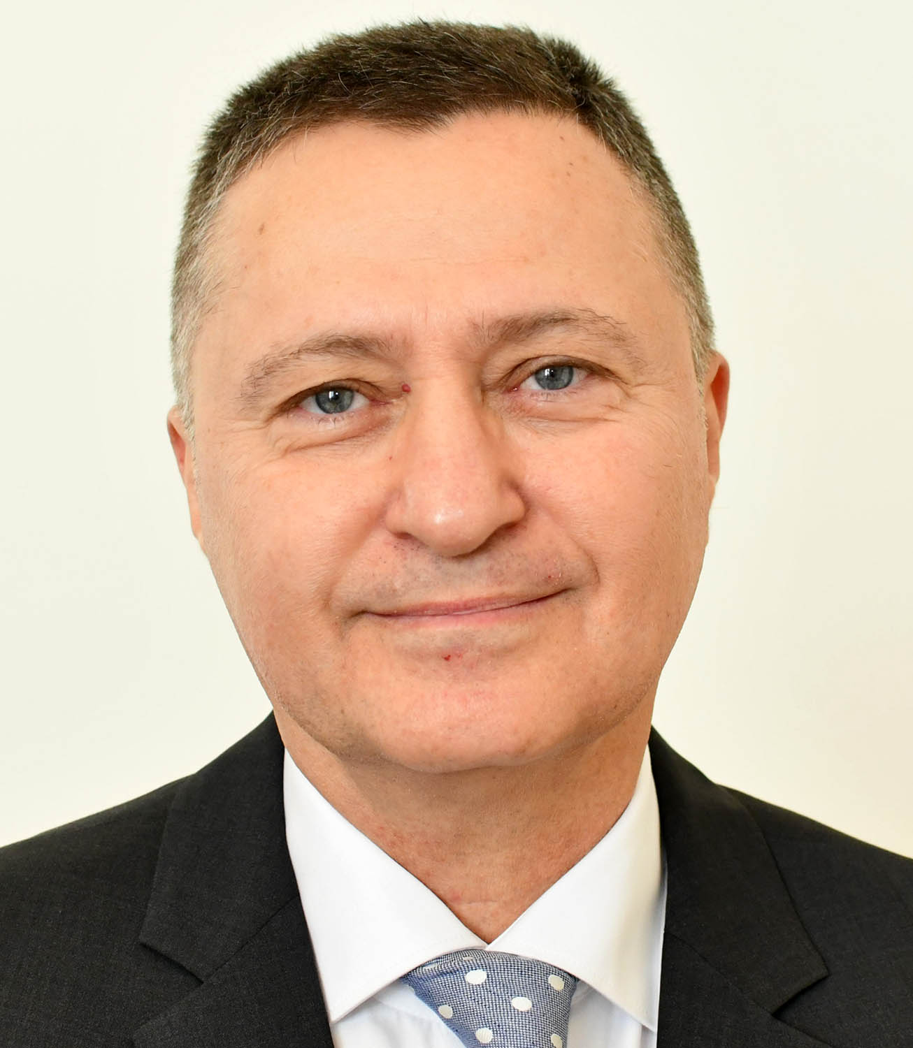 prof. dr Miroslav Ilić