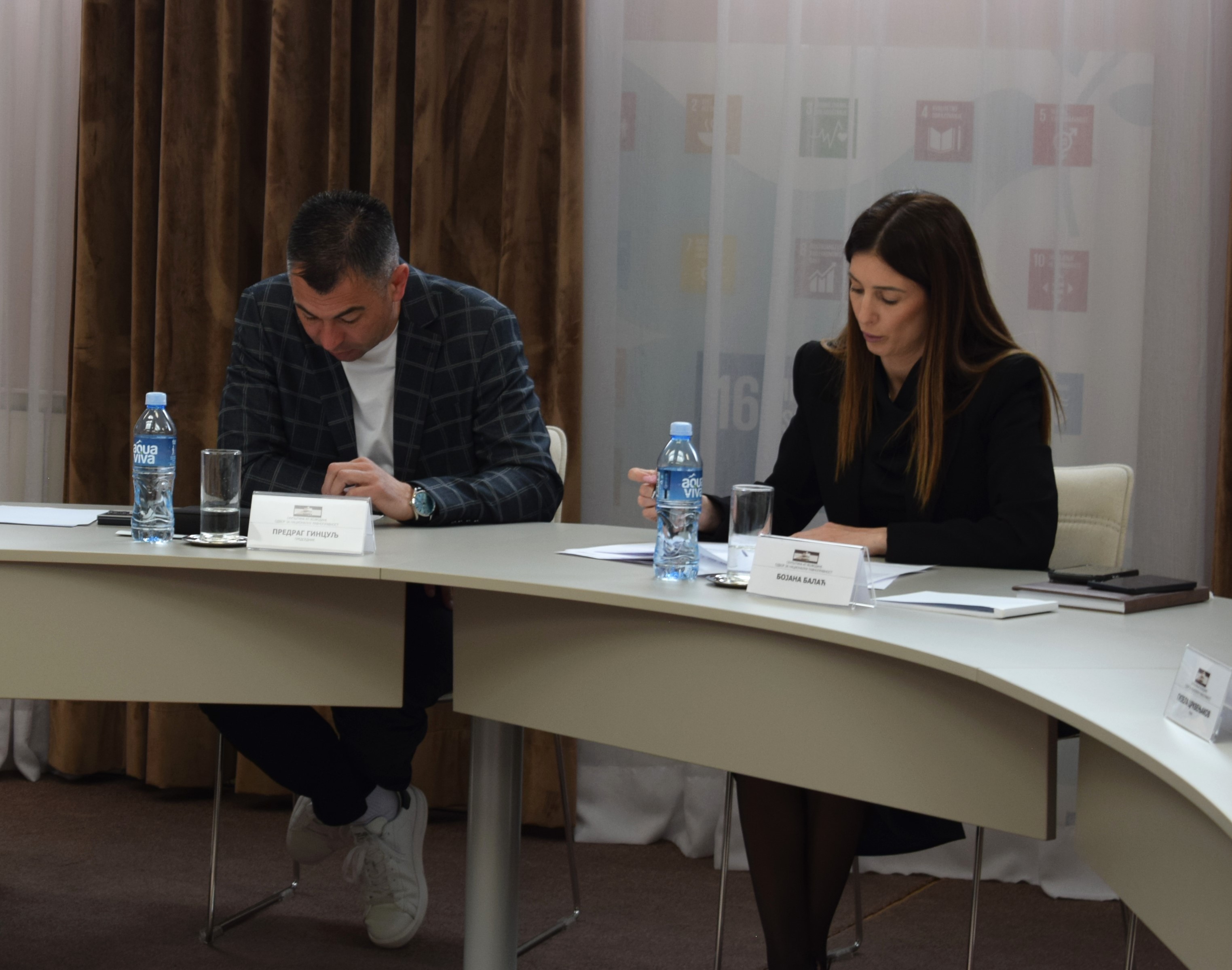 Sednice skup&scaron;tinskih odbora